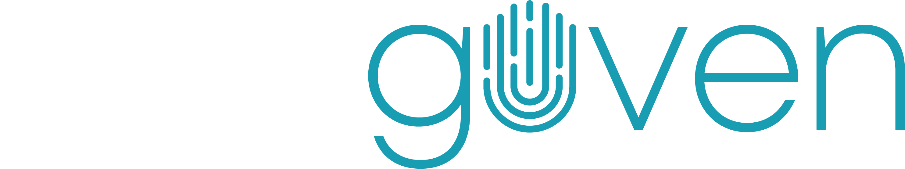 Veri Güven Logo